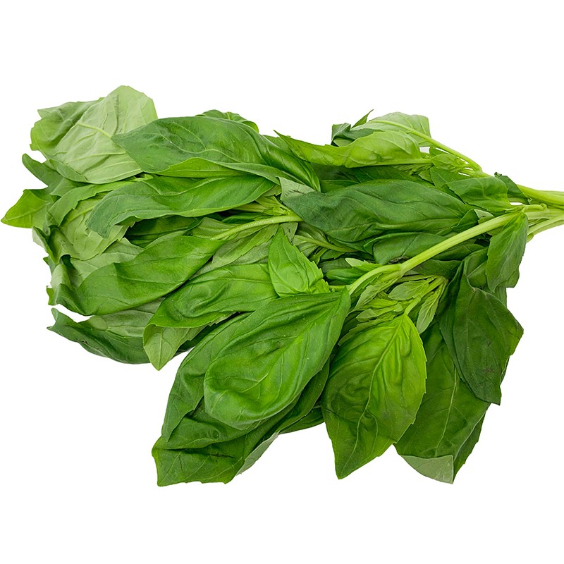 Basil